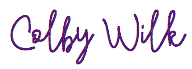 colby wilk seattle logo